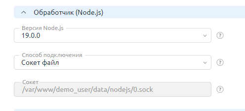 Настройки обработчика Node.js на сайте в ispmanager 
